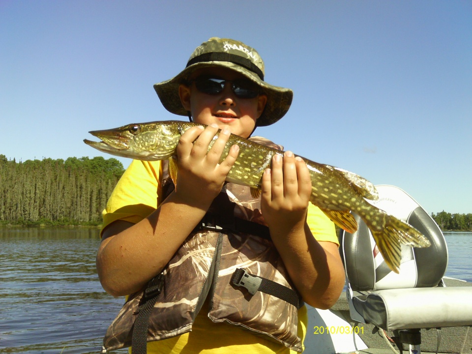 Northern Pike - Woman River Camp