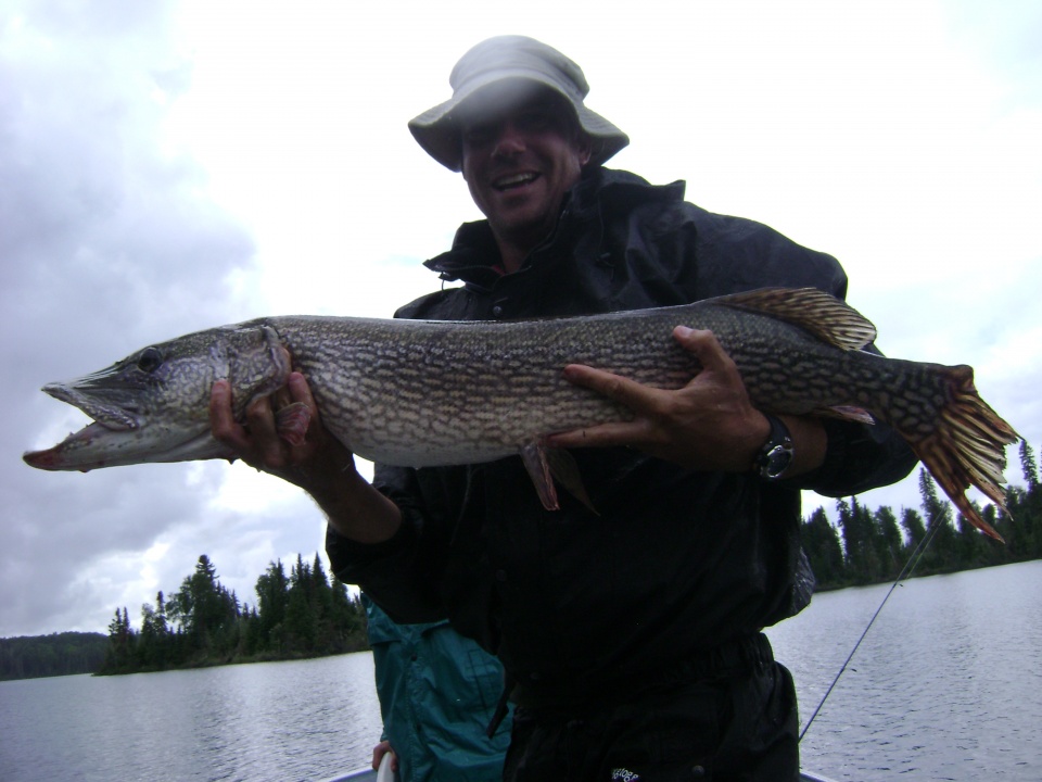 Northern Pike - Woman River Camp