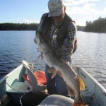 northern pike fishing