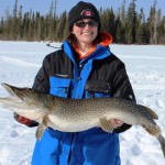 northern pike ice fishing