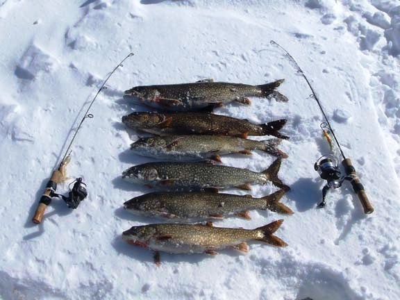 Ontario lake trout fishing lodge & camp