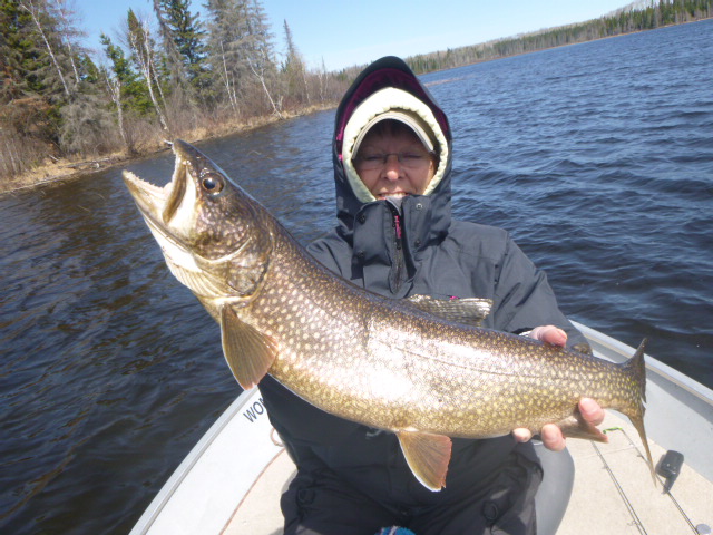 Ontario lake trout fishing lodge & camp