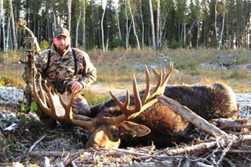 moose archery