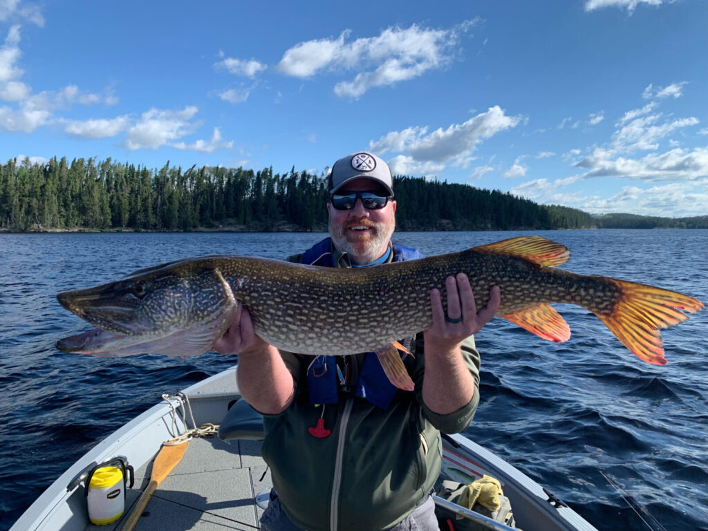 trophy northern pike fishing