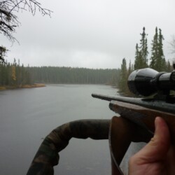 Photo of rifle and landscape