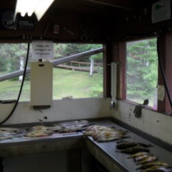 screened-in-fish-cleaning-station