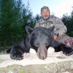 bear hunting