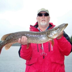 northern pike fishing