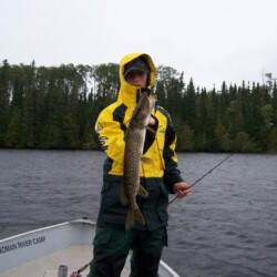 walleye fishing