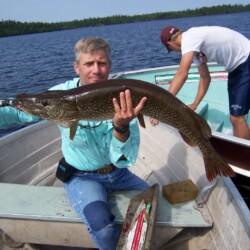 walleye fishing