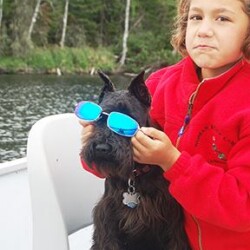 dogs visiting woman river camp