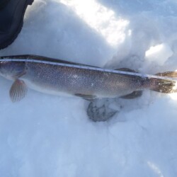 ice fishing