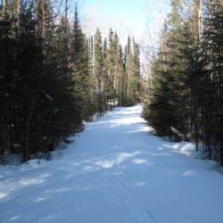 wilderness of woman river camp