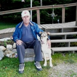 dogs visiting woman river camp