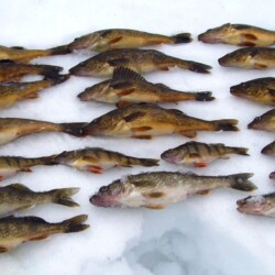 ice fishing