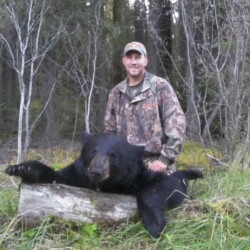 bear hunting