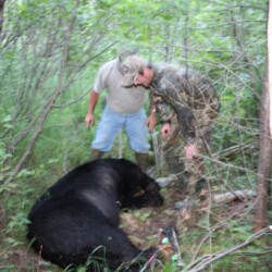 bear hunting