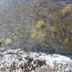 lake trout fishing