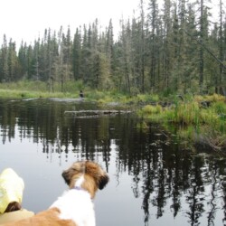 wilderness of woman river camp