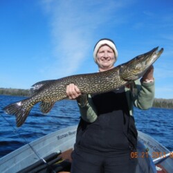 northern pike fishing