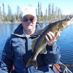 walleye fishing