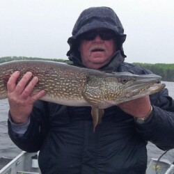 walleye fishing