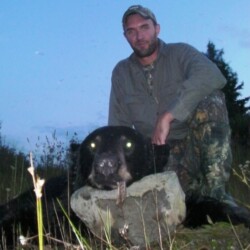 bear hunting
