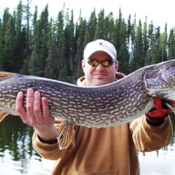 northern pike fishing