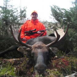 moose hunting