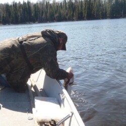 northern pike fishing