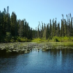 wilderness of woman river camp