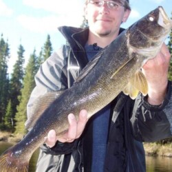 walleye fishing