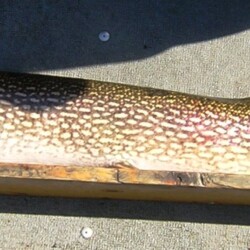 northern pike fishing