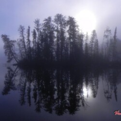 wilderness of woman river camp