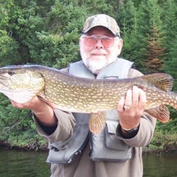 northern pike fishing