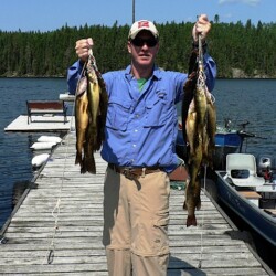 walleye fishing