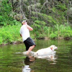 dogs visiting woman river camp