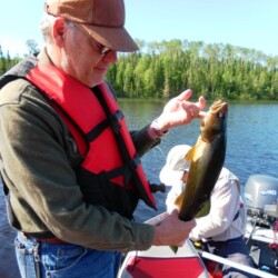 walleye fishing