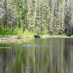 wilderness of woman river camp