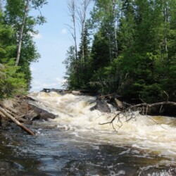 wilderness of woman river camp