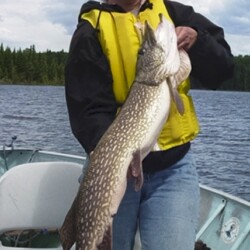 northern pike fishing