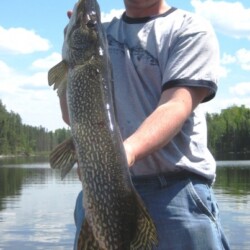 northern pike fishing