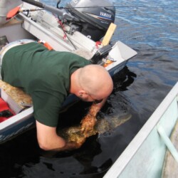 northern pike fishing