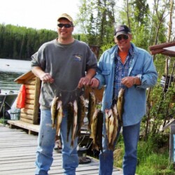 walleye fishing