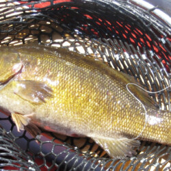 fishing at woman river camp