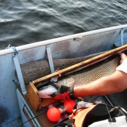 fishing at woman river camp