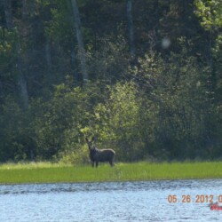 hunting at woman river camp