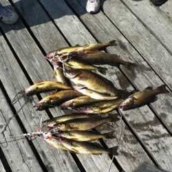 fishing at woman river camp