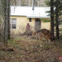 remote-cabin-rental-northwestern-ontario