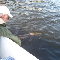 fishing at woman river camp